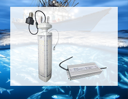 1000W Led fish light