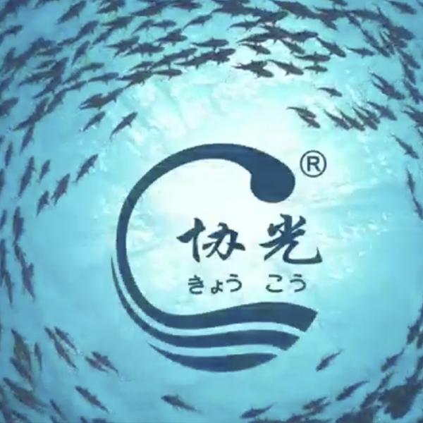 An ideal fishing light source